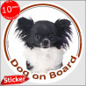 black and white Long hair Chihuahua, car circle sticker "Dog on board" 15 cm, decal label adhesive photo notice