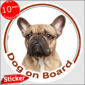 Fawn French Bulldog, circle sticker "Dog on board" 15 cm