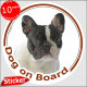 Brindle pied French Bulldog, circle sticker "Dog on board" decal adhesive car label Frenchie photo notice black and white
