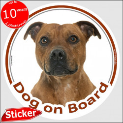 Circle sticker "Dog on board" 15 cm, Red fawn Staffie Head, decal adhesive car label Staffordshire Bull Terrier