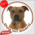 Red fawn Staffie, car circle sticker "Dog on board" 15 cm