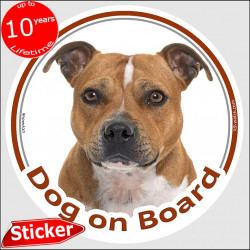 Circle sticker "Dog on board" 15 cm, Red fawn Staffie Head, decal adhesive car label Staffordshire Bull Terrier