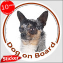 Merle Chihuahua, circle sticker "Dog on board" 15 cm