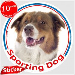red tricolour Australian Shepherd, circle car sticker "Sporting Dog" 15 cm, decal label Aussie Adhesive photo notice agility spo