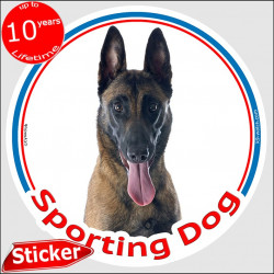 Malinois Belgian Shepherd, circle car sticker "Sporting Dog" 15 cm Indoor/Outdoor car decal label photo notice agility