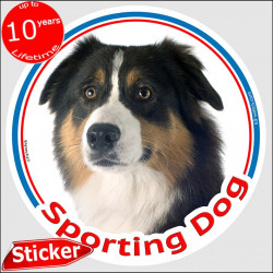 Black tricolour Aussie, circle car sticker "Sporting Dog" 15 cm