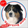 Black tricolour Australian Shepherd, circle car sticker "Sporting Dog" 15 cm, decal label Aussie Adhesive photo notice agility