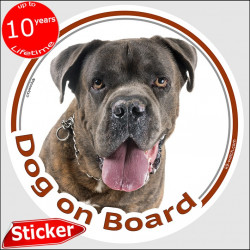 Brindle Cane Corso Italiano, car circle sticker "Dog on board" 15 cm decal label photo notice Mastiff