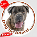 Brindle Cane Corso, car circle sticker "Dog on board" 15 cm