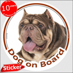 Brown American Bully, circle sticker "Dog on board" 15 cm, car decal label adhesive photo