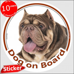 Brown American Bully, circle sticker "Dog on board" 15 cm, car decal label