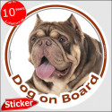 Brown American Bully, circle sticker "Dog on board" 15 cm, car decal label