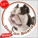 American Bully, circle sticker "Dog on board" 15 cm