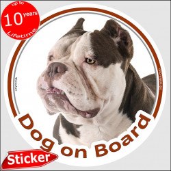 Bicolor Brown and white American Bully, circle sticker "Dog on board" decal label adhesive photo notice