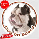 American Bully, circle sticker "Dog on board" 15 cm