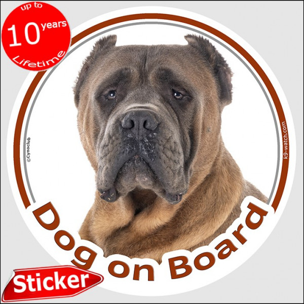 Red brown fawn Cane Corso Italiano, car circle sticker "Dog on board" 15 cm decal label photo notice Mastiff