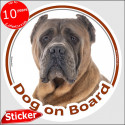 Fawn Cane Corso, car circle sticker "Dog on board" 15 cm