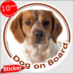 Circle sticker "Dog on board" 15 cm, Orange Brittany Spaniel Head, Decal label French epagneul breton photo notice