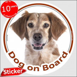 Circle sticker "Dog on board" 15 cm, Orange Brittany Spaniel Head, Decal label French epagneul breton photo notice