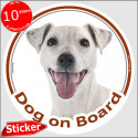 White Jack Russell, circle sticker "Dog on board" 15 cm