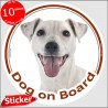  Car Circle sticker "Dog on board" 15 cm, Smooth haired White Jack Russell Terrier, decal label adhesive photo notice