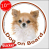 Gold & white long hair Chihuahua, circle sticker "Dog on board" 15 cm, car decal label adhesive photo notice