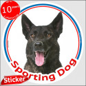 Dutch Shepherd, circle car sticker "Sporting Dog" 15 cm