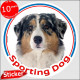 Blue merle Australian Shepherd, circle car sticker "Sporting Dog" 15 cm, decal label Aussie Adhesive photo notice agility sport