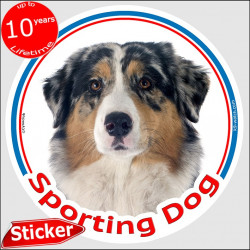 Blue merle Australian Shepherd, circle car sticker "Sporting Dog" 15 cm, decal label Aussie Adhesive photo notice agility sport