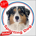 Blue merle Aussie, circle car sticker "Sporting Dog" 15 cm