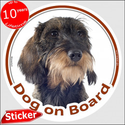 Dachshund, car circle sticker "Dog on board" 15 cm