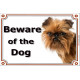 Brussels Griffon head, Gate Sign Beware of the Dog plaque placard panel photo