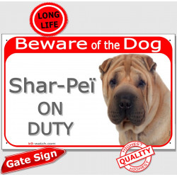 Shar-Peï cream, Gate Plaque "Beware of the Dog on Duty" sign, placard, panel photo notice sharpei