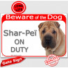 Shar-Peï cream, Gate Plaque "Beware of the Dog on Duty" sign, placard, panel photo notice sharpei
