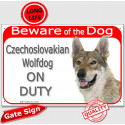Red Portal Sign "Beware of the Dog, Czechoslovakian Wolfdog on duty" 24 cm