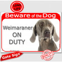 Red Portal Sign "Beware of the Dog, Weimaraner on duty" 24 cm