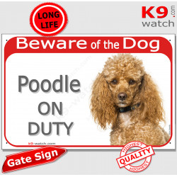 Red Portal Sign "Beware of the Dog, Apricot Poodle on duty" gate plate placard photo notice plaque