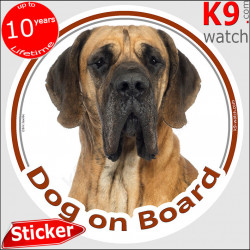 Brown fawn Great Dane, car circle sticker "Dog on board" decal photo label notice Deutsche Dogge, German Mastiff