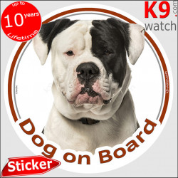 Black and white American Bulldog, car circle sticker "Dog on board" 14 cm, decal label photo notice