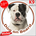 American Bulldog, car circle sticker "Dog on board" 14 cm