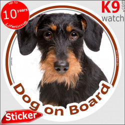 Dachshund, car circle sticker "Dog on board" 14 cm