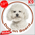 Curly Bichon Frise, car circle sticker "Dog on board" 14 cm