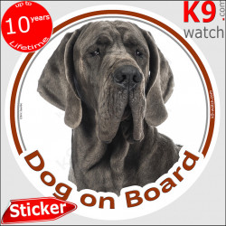 Grey blue Great Dane, car circle sticker "Dog on board" decal photo label notice Deutsche Dogge, German Mastiff