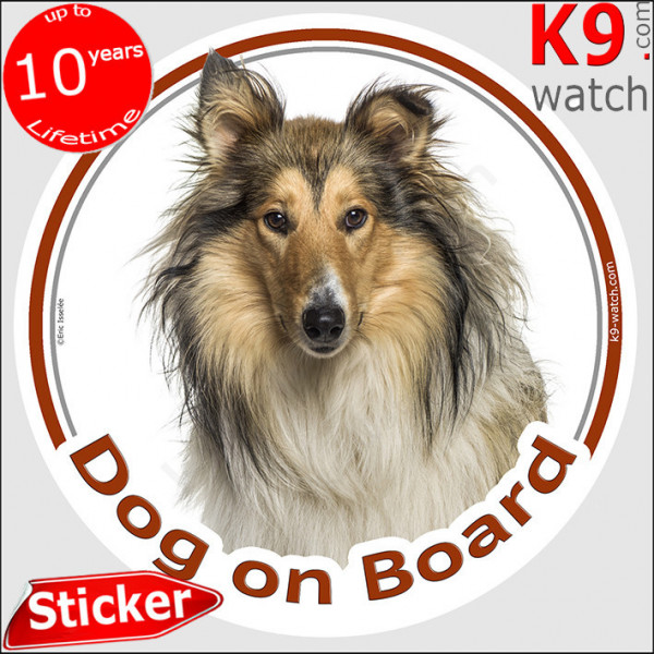 tri-sable & white Rough Collie, car circle sticker "Dog on board" decal label photo adhesive notice