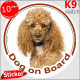 Orange Apricot Poodle Head, circle sticker "Dog on board" decal adhesive car label photo notice, Red fawn brow hairs colors