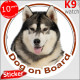 Alaskan Malamute, car circle sticker "Dog on board" decal label photo notice adhesive