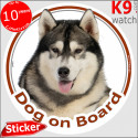 Malamute, car circle sticker "Dog on board" 14 cm