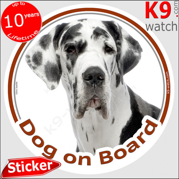 Harlequin Great Dane, car circle sticker "Dog on board" decal photo label notice Deutsche Dogge, German Mastiff