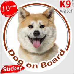 Fawn Japanese Akita Inu, car circle sticker "Dog on board" decal adhesive photo notice label Yellow orange akhita