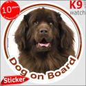 Newfoundland, car circle sticker "Dog on board" 14 cm